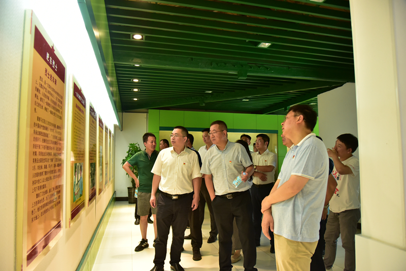 市政分公司黨總支、合肥市重點局直屬黨委第二黨支部聯(lián)合開展主題黨日活動3